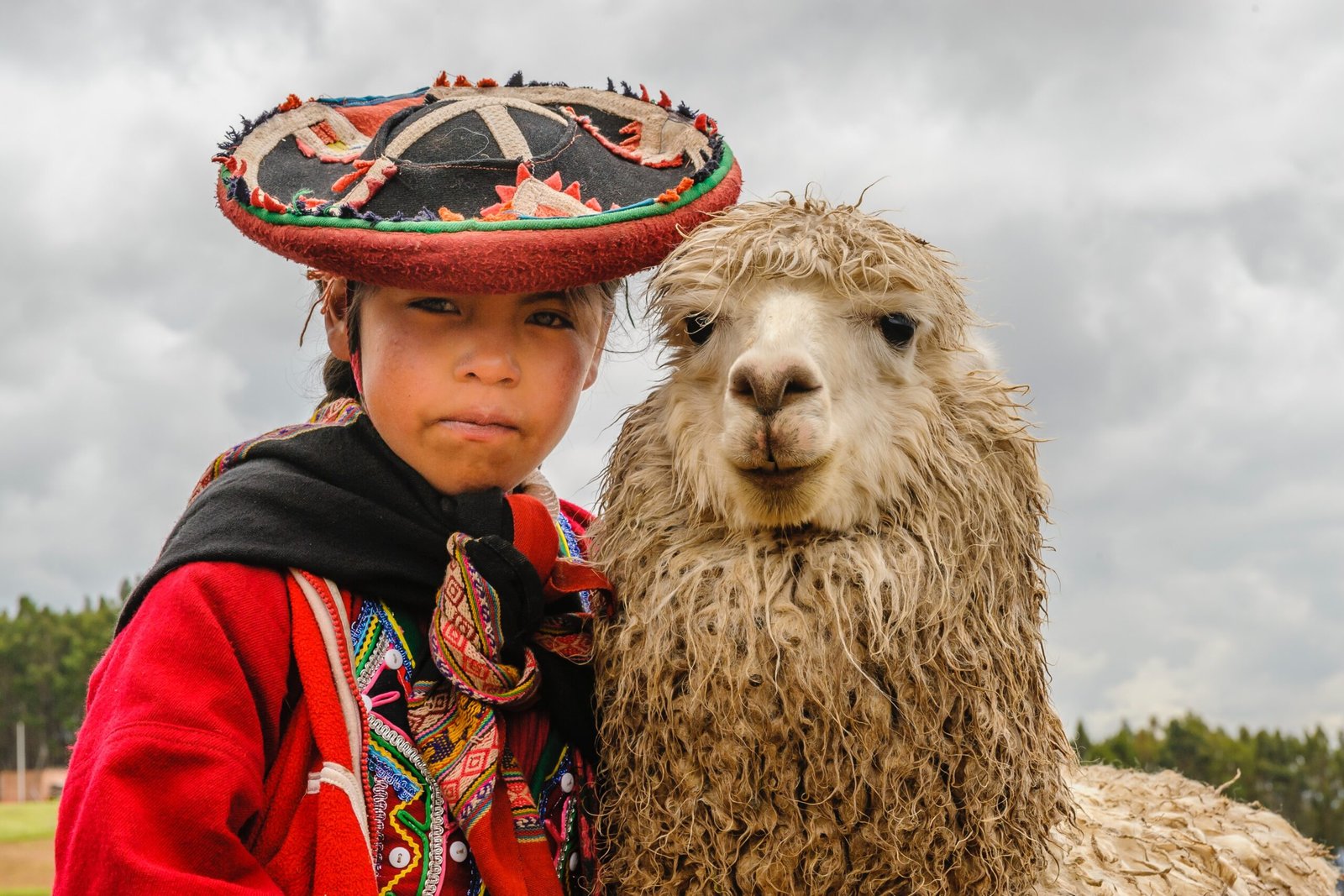 Enfant et son lama