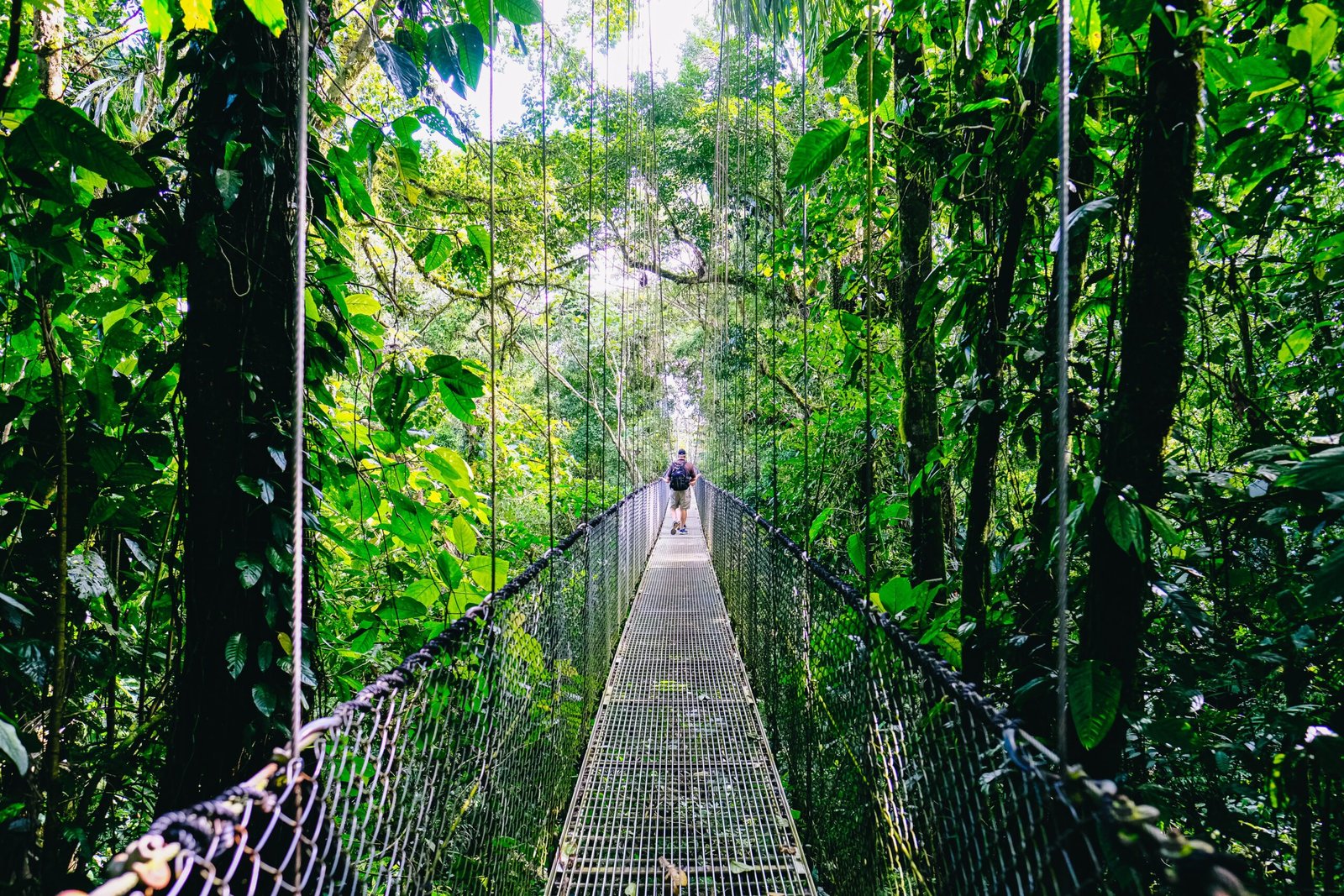 Pont suspendu dans la jungle Costa Rica voyage famille