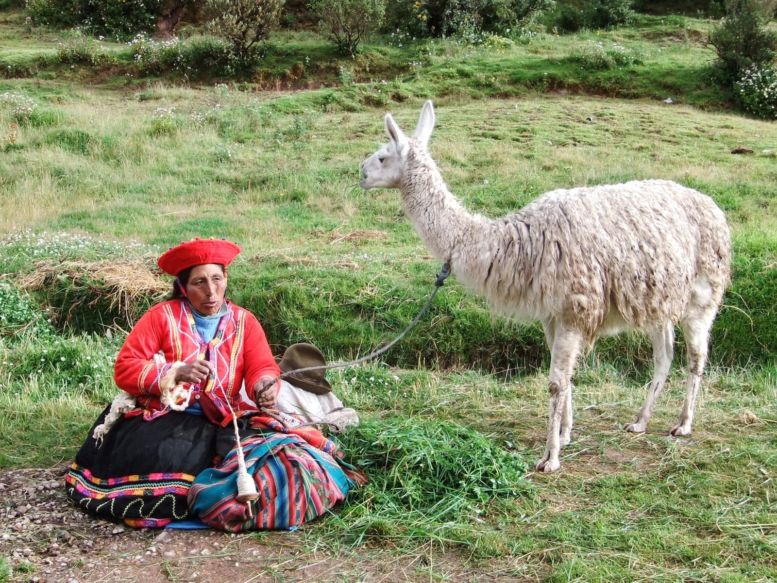 Femme et son lama dans la vallée sacrée Pérou