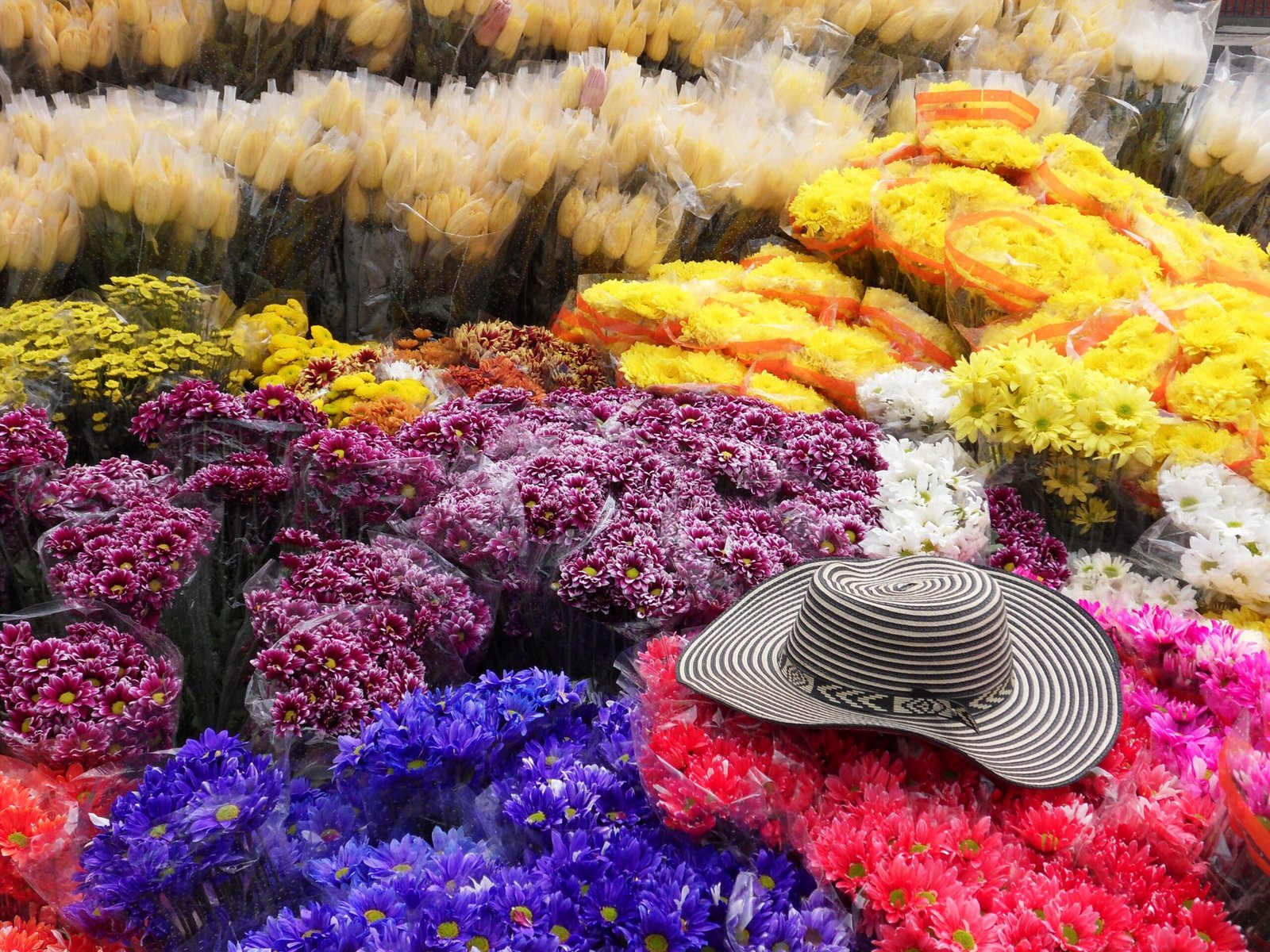 Marché aux fleurs Bogota Colombie