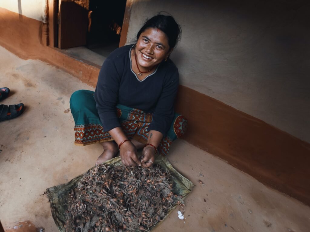 Atelier séchage de feuilles de thé dans une famille de cultivateurs en Inde